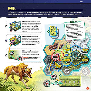 Board Game - Wolves